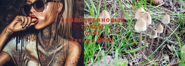 эйфоретик Каменногорск