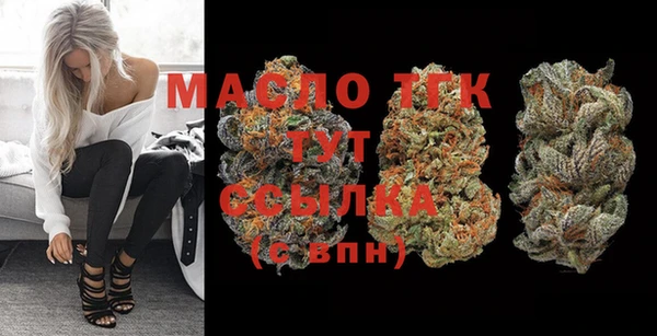 дмт Каменка